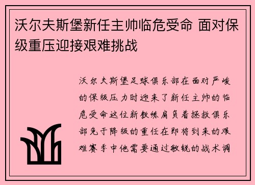 沃尔夫斯堡新任主帅临危受命 面对保级重压迎接艰难挑战