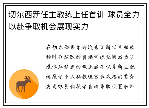 切尔西新任主教练上任首训 球员全力以赴争取机会展现实力